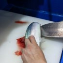 믿음회수산 - 화성시 병점로 60 | 믿음회수산