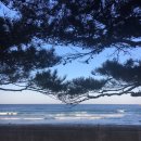 북강릉주유소 | [2018평창올림픽] 여자 컬링 직관 후기 :D