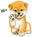 광남이네 이미지