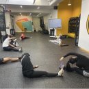 스타디온 삼성 이미지