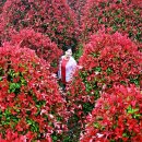 안덕농장 이미지