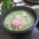 복돼지식당 | 창원 현지인 맛집 복돼지식당, 진한 복돼지국밥과 쫄깃한 순대! 인생 겉절이까지 완벽
