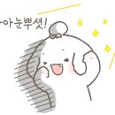 동수원 뉴코아 앞 이미지