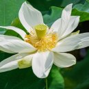 봉담호수공원 이미지