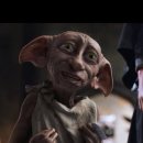 민 동물병원(동물미용) 이미지