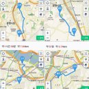 성락주유소앞 사거리 시사IN
