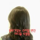 도유보네르 이미지