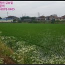 신송1리 마을회관 이미지