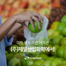 ㈜모두환경산업 | 마트봉투 다용도봉투 주문제작은 ㈜제일산업화학에서!