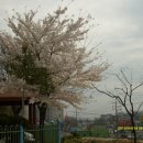 신정호길 이미지