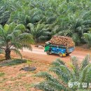 김재형농장 이미지