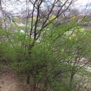 오주유소 이미지