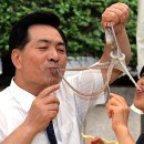다동무교동상가번영회 - 중구 다동 | 다동무교동상가번영회