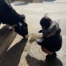 삼화리 동광 캠핑장 이미지