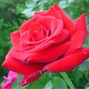 미소가득주유소 이미지