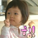 시드영어
