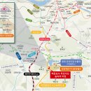 숲속의아침2 이미지