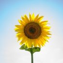 동감공인중개사사무소 이미지