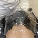 크레센트421 이미지