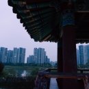 더힐링호텔 이미지