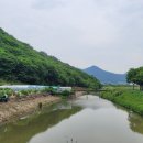 경남고성임야매매...구만면 소재 보전관리지역 임야 62,479m² 매매 이미지