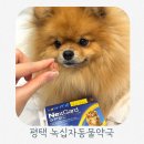 허브약국 | 평택녹십자동물약국 넥스가드스펙트라 구매후기