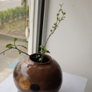 영동농약사 이미지