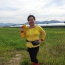 얼갈이 속음 무우김치 이미지