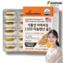 네이처맥스