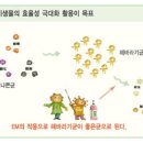 이엠축산 이미지