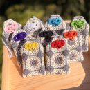 당신만을 위한 길 이미지