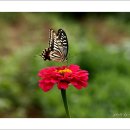 수원농장 이미지