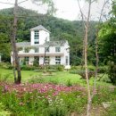 글로리아 이미지