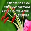 동심의료기 Daum카페