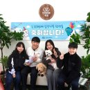 마루마리 이미지