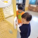 알곡어린이집 | 수원 아이와 실내 가볼만 한 곳 수달앤쥬 동물원