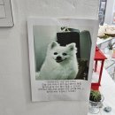 예스향기 | 향기로 가득한 공간 인천캔들공방 예스아이캔들에서 특별한 추억 만들기