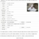 디아크동물종합병원 이미지