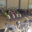 왕피천공원 자전거대여소 이미지