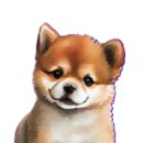 피터펫 카페 안산점 이미지