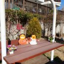 놀러와 펜션 이미지