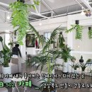 카라카페