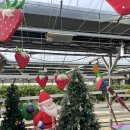 창뜰농장 이미지