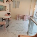 투숑펫살롱 이미지