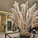 아트리움 | W[대전] 27년 라도무스 투어 후기 (아트리움홀 계약X/당일혜택 포함 견적 공유O)