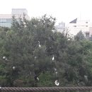 월드클래스에듀케이션 이미지
