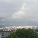 무지개세탁빨래방 이미지