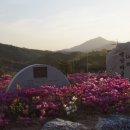 한반도리버2 이미지