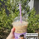 더벤티 기장교리점 이미지