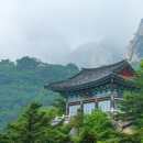 비파ALL 이미지